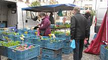 Farmářské trhy Koudelův talíř slaví letos jubileum. Návštěvníky neodradila od cesty na náměstí ani zima a déšť.