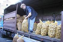 Podle zemědělců hrozí omezování pěstování brambor či jablek. Ilustrační foto.