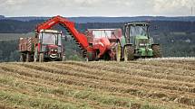 Sklizeň brambor se na Vysočině tyto dny rozjíždí naplno. Hektarové výnosy konzumních brambor by měly být srovnatelné s dlouhodobým průměrem. Na Vysočině se pěstují později sklízené odrůdy, rané brambory dodávají hlavně pěstitelé z jihu Moravy a Polabí.  
