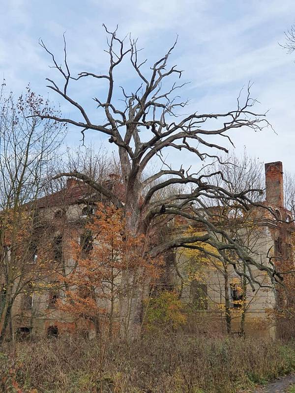 Ruiny kdysi honosného paláce v Dolním Slezsku