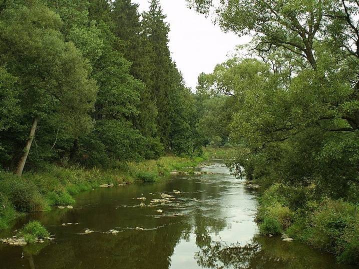 Romantická řeka. O tom, že je Sázava řekou romantickou, snad nikdo nepochybuje. Aby z ní tento dojem měli všichni, k tomu má přispět obří projekt. Až v poslední fázi, kdy už bude řeka a okolí vyčištěné a zdravé, se obce vrhnou na propojení řeky a památek.