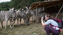 Skupina fotografie z Letní žurnalistické školy fotila v ZOO Jihlava.