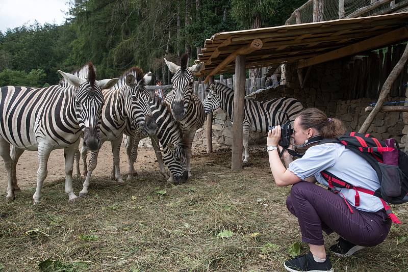 Skupina fotografie z Letní žurnalistické školy fotila v ZOO Jihlava.