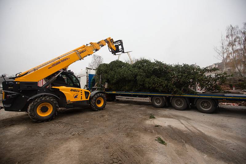Nakládání vánoční stromu pro transport do partnerského města Brielle.