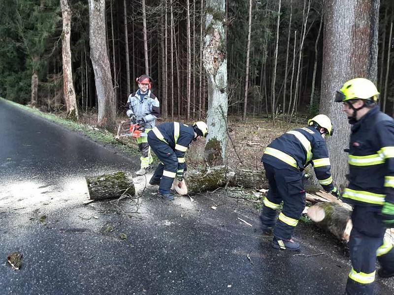 Hasiči vyjížděli v pátek 31. března k popadaným stromům po bouřce a silném větru. Foto: poskytl HZS Kraje Vysočina