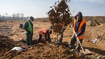 Archeologické práce na trase budoucího obchvatu kolem Havlíčkova Brodu.