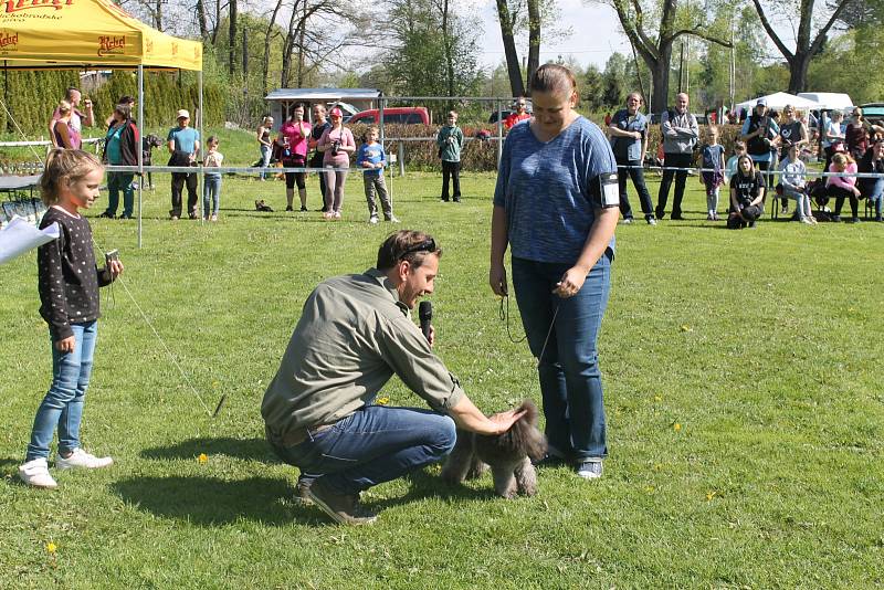 Pejsci všech možných plemen, stáří a velikosti v sobotu soutěžili o přízeň poroty u přehrady Na Žabinci. Výtěžek z akce přispěl na dětské oddělení brodské nemocnice.