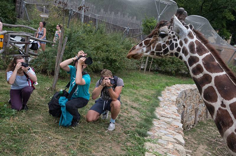 Skupina fotografie z Letní žurnalistické školy fotila v ZOO Jihlava.