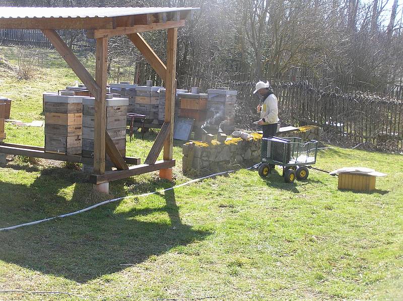 Na jaře mají v pokusném včelíně včelmistři plné ruce práce.