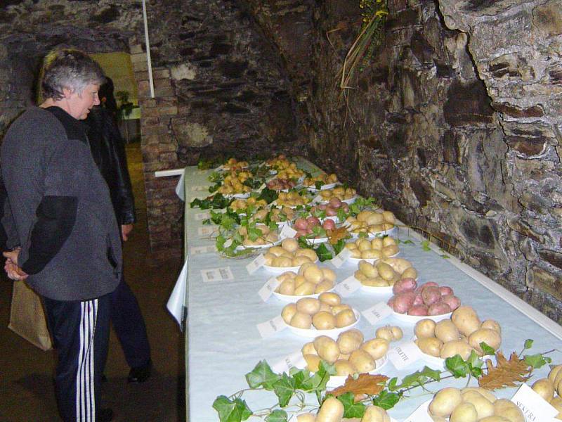 Letos se v jednom víkendu sešly hned dvě bramborářské výstavy. Bramborářské dny v Havlíčkově Brodě a bramborářská přehlídka v Přibyslavi. 