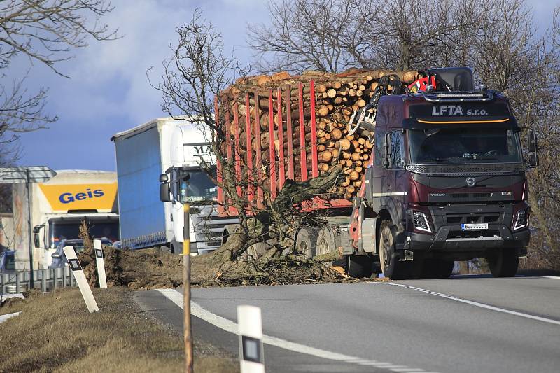 Spadlý strom na silnici I/38 u Květnova na Havlíčkobrodsku.