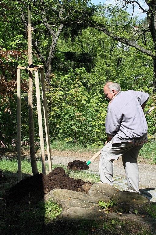 Vysazení spolkových stromů 2012.