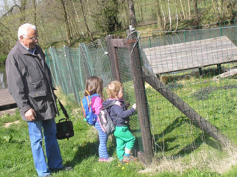 Azyl v záchranné stanici nacházejí desítky handicapovaných zvířat a ptáků. Pomoci s péčí o ně mohou adoptivní rodiče.