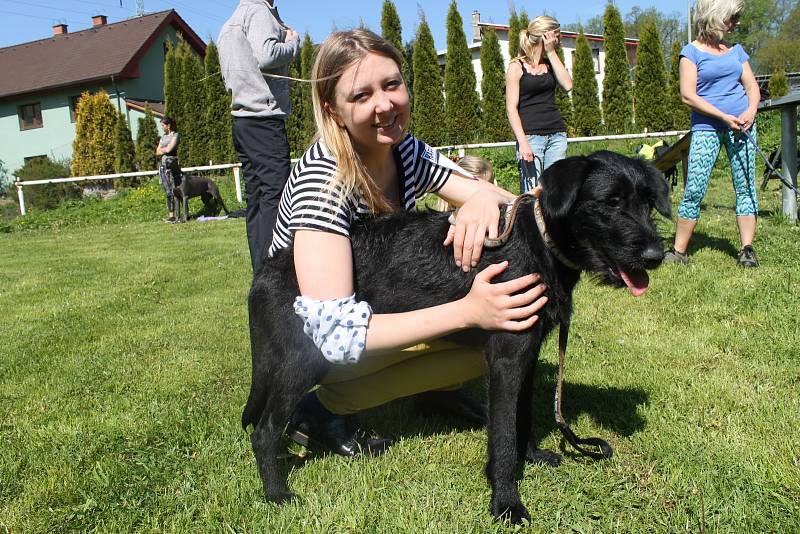 Pejsci všech možných plemen, stáří a velikosti v sobotu soutěžili o přízeň poroty u přehrady Na Žabinci. Výtěžek z akce přispěl na dětské oddělení brodské nemocnice.