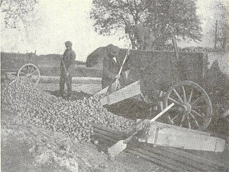 Sativa Keřkov, foto z historie.