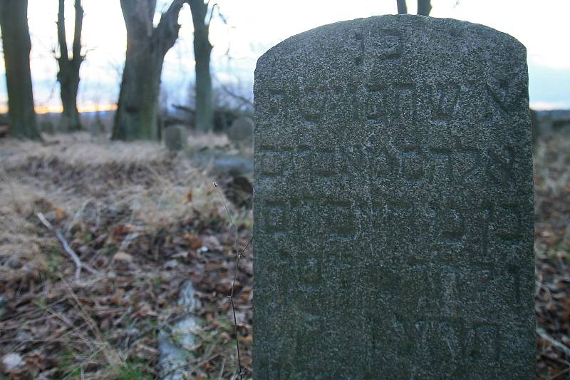 Židovský tyfový hřbitov v Havlíčkově Brodě.