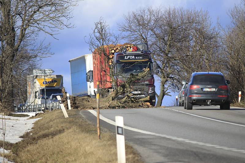 Spadlý strom na silnici I/38 u Květnova na Havlíčkobrodsku.