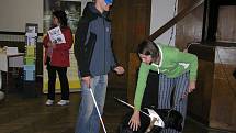 Zkuste si to. Odvážní návštěvníci Veletrhu sociálních služeb měli možnost vyzkoušet si na vlastní kůži, jaké to je být nevidomým, odkázaným na pomoc čtyřnohého kamaráda.