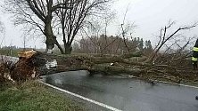 Hasiči vyjížděli v pátek 31. března k popadaným stromům po bouřce a silnému větru. Foto: poskytl HZS Kraje Vysočina