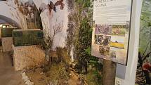 V brodském Muzeu Vysočiny probíhá výstava o přírodě.