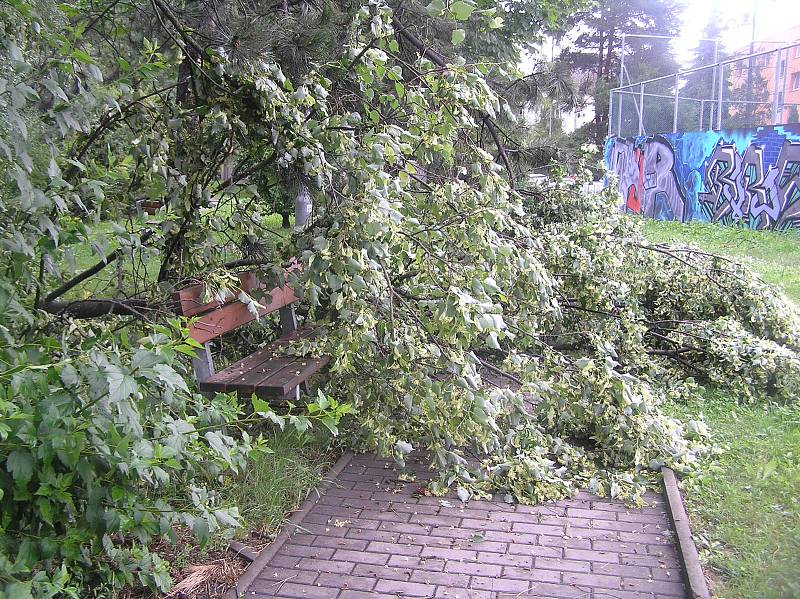 Čtvrteční noční vichřice napáchala škody například v havlíčkobrodkém parku Budoucnost. Silné větve urostlých lip lámala jako sirky. Kus stromu spadl například do areálu dětského hřiště za budovou AZ Centra na Rubešově náměstí. 