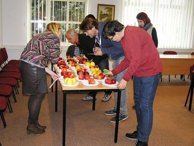 Odborná porota hodnotila jablka ze 30 odrůd.