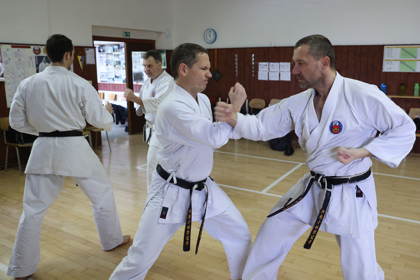 VIDĚLI JSME: Karate a kobudo. V Havlíčkově Brodě se představila bojová  umění - Pelhřimovský deník