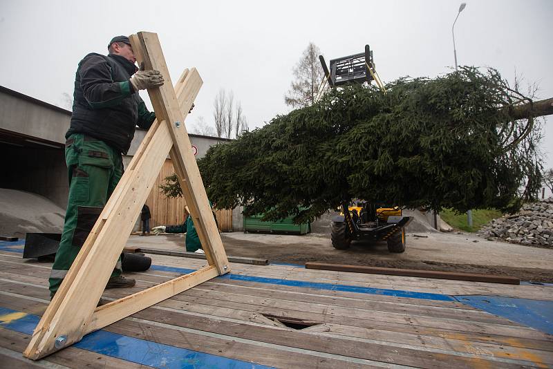 Nakládání vánoční stromu pro transport do partnerského města Brielle.