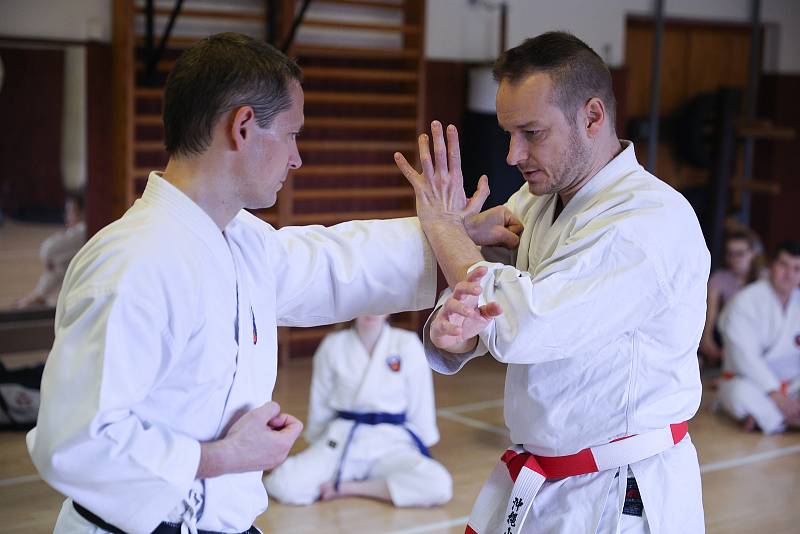 Seminář pro dospělé cvičence karate v Havlíčkově Brodě.