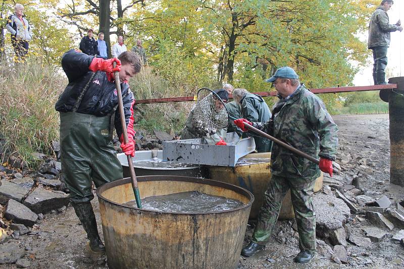 V sobotu se lovil Novosvětský rybník na Havlíčkobrodsku.