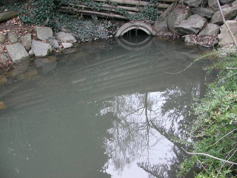 Potok v lokalitě Na Fialkách ve Světlé nad Sázavou. Foto: Roman Doktor