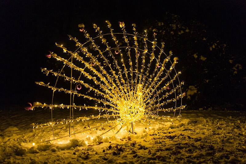 Rozsvícený park ve Světlé. Archivní snímek.