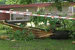 Čtvrteční noční vichřice napáchala škody také v havlíčkobrodském parku Budoucnost. Silné větve urostlých lip lámala jako sirky.