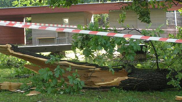 Čtvrteční noční vichřice napáchala škody také v havlíčkobrodském parku Budoucnost. Silné větve urostlých lip lámala jako sirky.