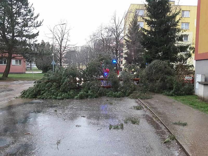 Hasiči vyjížděli v pátek 31. března k popadaným stromům po bouřce a silném větru. Foto: poskytl HZS Kraje Vysočina