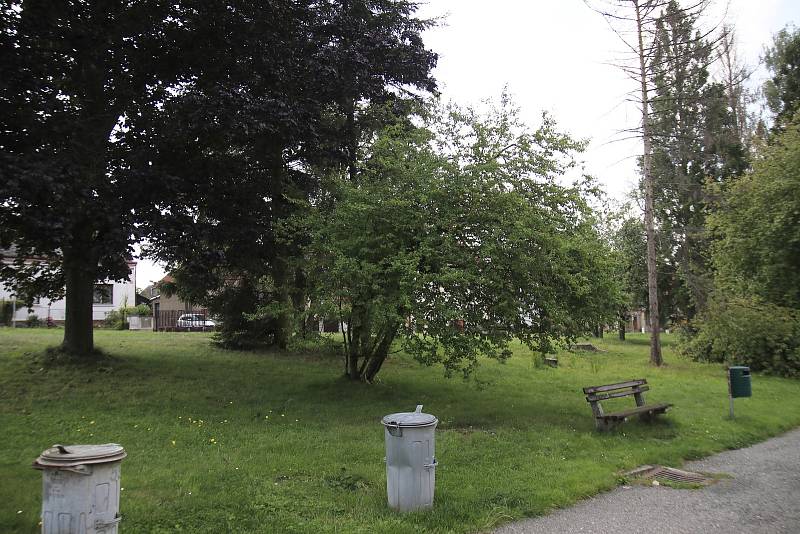 Chotěbořský park Stromovka.