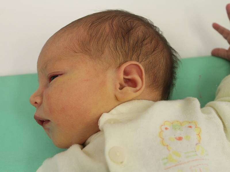 Theodora Šípová, Tábor, 29. 6. 2014, 3 580 g