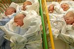 Náchodská porodnice míří na rekord