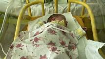 V porodnicích na Vysočině přišly loni na svět tisíce dětí.