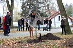 Zástupci havlíčkobrodského gymnázia, gymnázia ze slovenské Spišské Nové Vsi a města Havlíčkův Brod vysadili strom republiky.