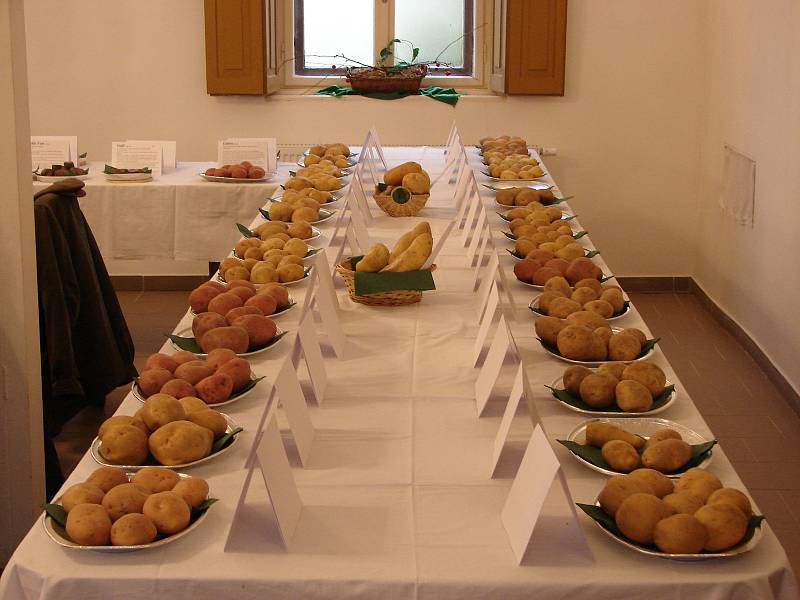 Výstava a ochutnávka brambor v Lukově.