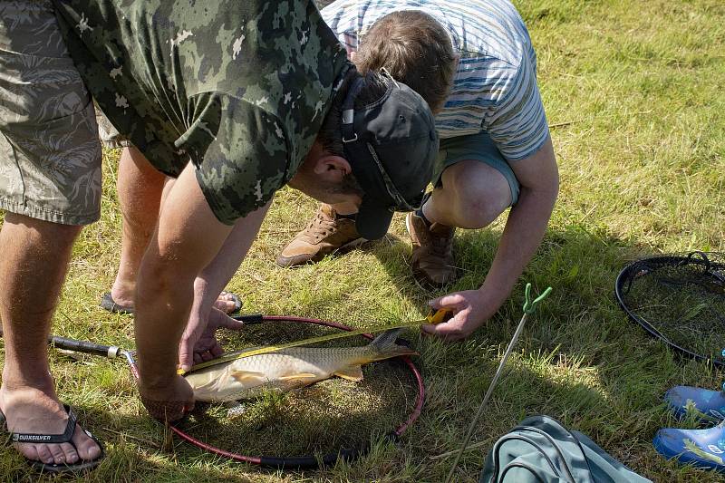 Dětské rybářské závody na rybníku V Kopaninách u Havlíčkovy Borové