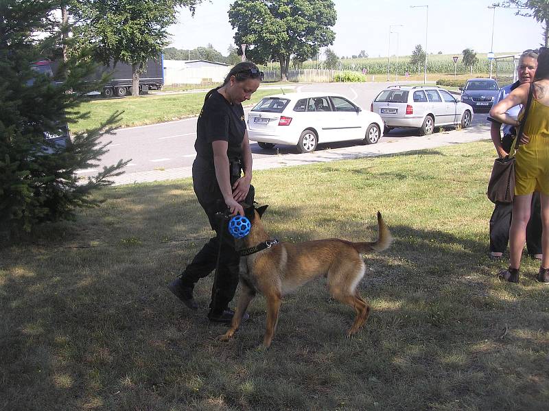 Do služby na festivalu jsou zařazeni policisté pořádkové, dopravní, cizinecké i kriminální policie Krajského ředitelství policie Kraje Vysočina včetně kynologů.