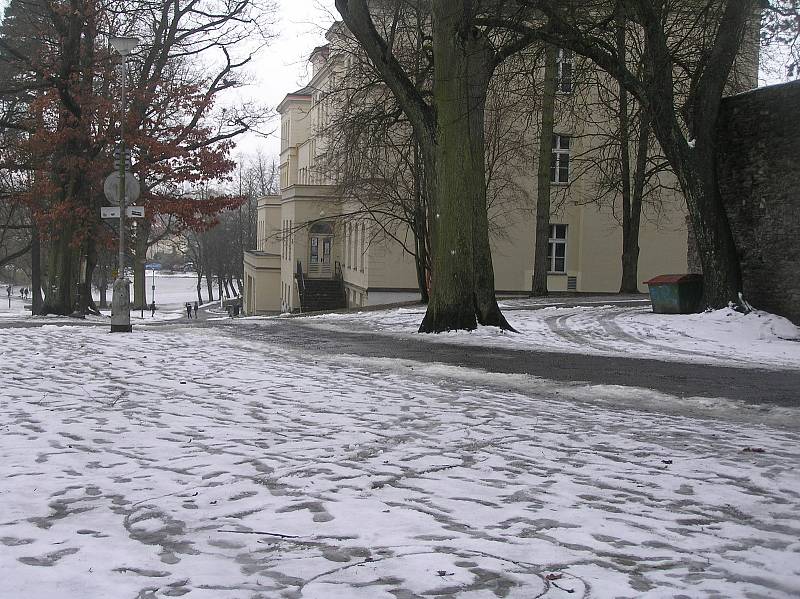 Tato část parku na svoji proměnu letos teprve čeká.