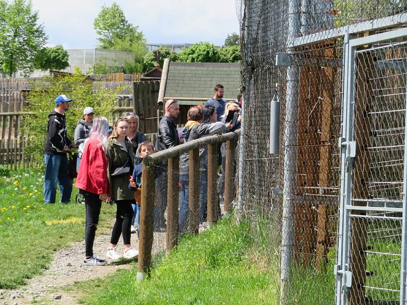 Táborská zoologická zahrada po nucené koronavirové pauze zažívá boom návštěvníků.