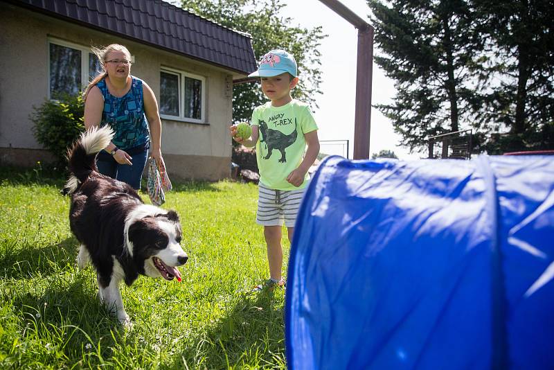 Canisterapie v Mateřské škole ve Věži na Havlíčkobrodsku.