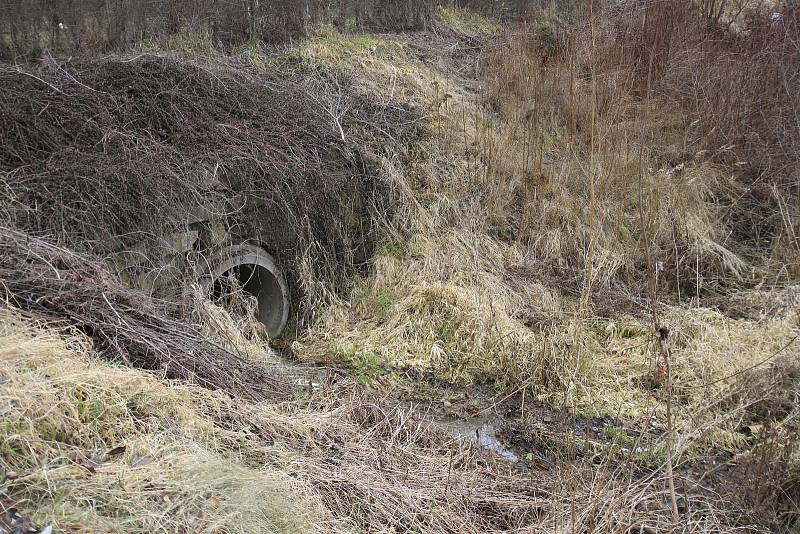 Potok v lokalitě Na Fialkách ve Světlé nad Sázavou.