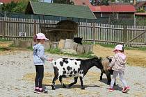 Táborská zoologická zahrada po nucené koronavirové pauze zažívá boom návštěvníků.