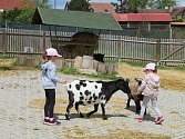 Táborská zoologická zahrada po nucené koronavirové pauze zažívá boom návštěvníků.