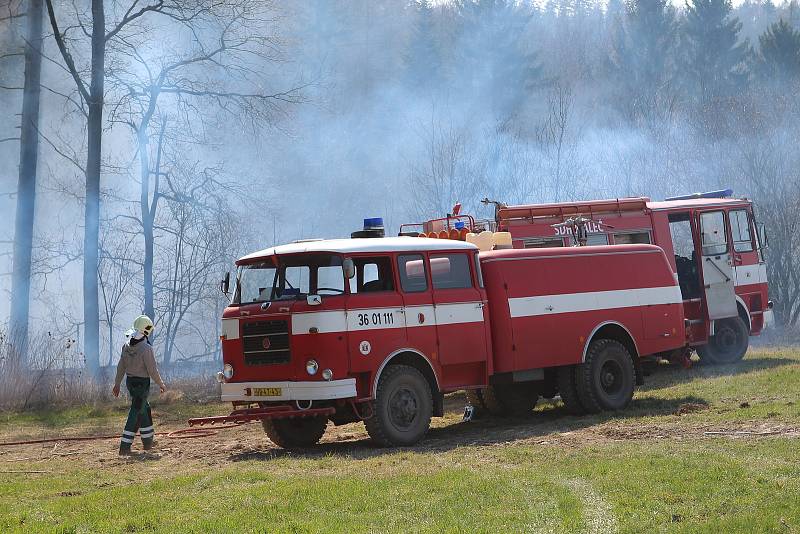 Dubnové požáry na Vysočině. Požár lesního porostu u Ždánic na Havlíčkobrodsku
